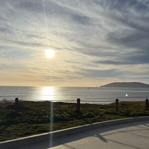 Meet your Posher, Sasha